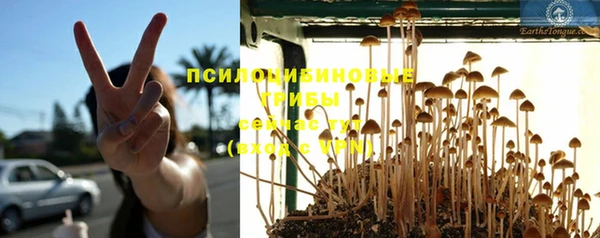 МДМА Белокуриха
