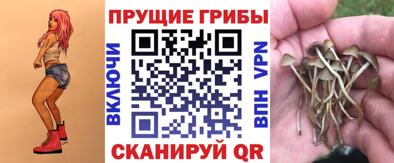 Псилоцибиновые грибы MAGIC MUSHROOMS  Купить где  Скопин 